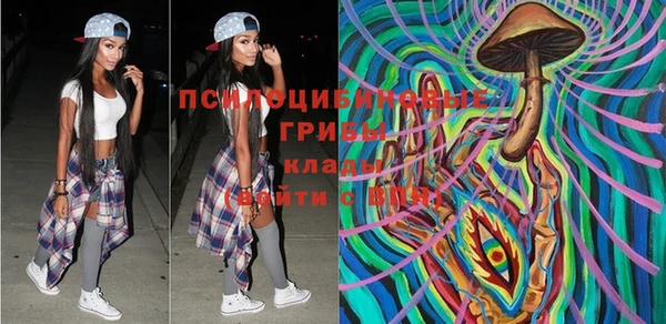 винт Баксан