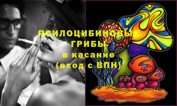 гидропоника Белокуриха