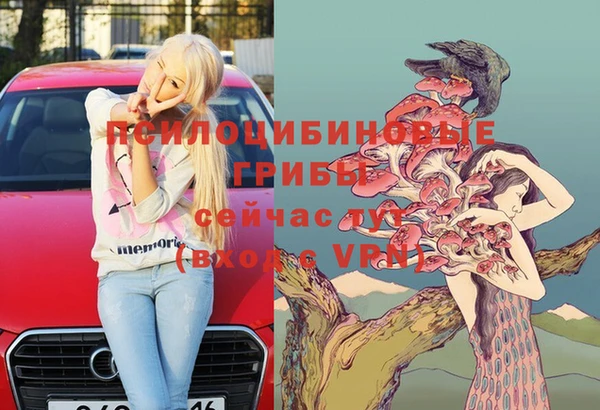 гидропоника Белокуриха