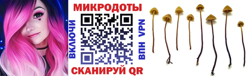 кракен вход  Красновишерск  Галлюциногенные грибы мухоморы  где найти  